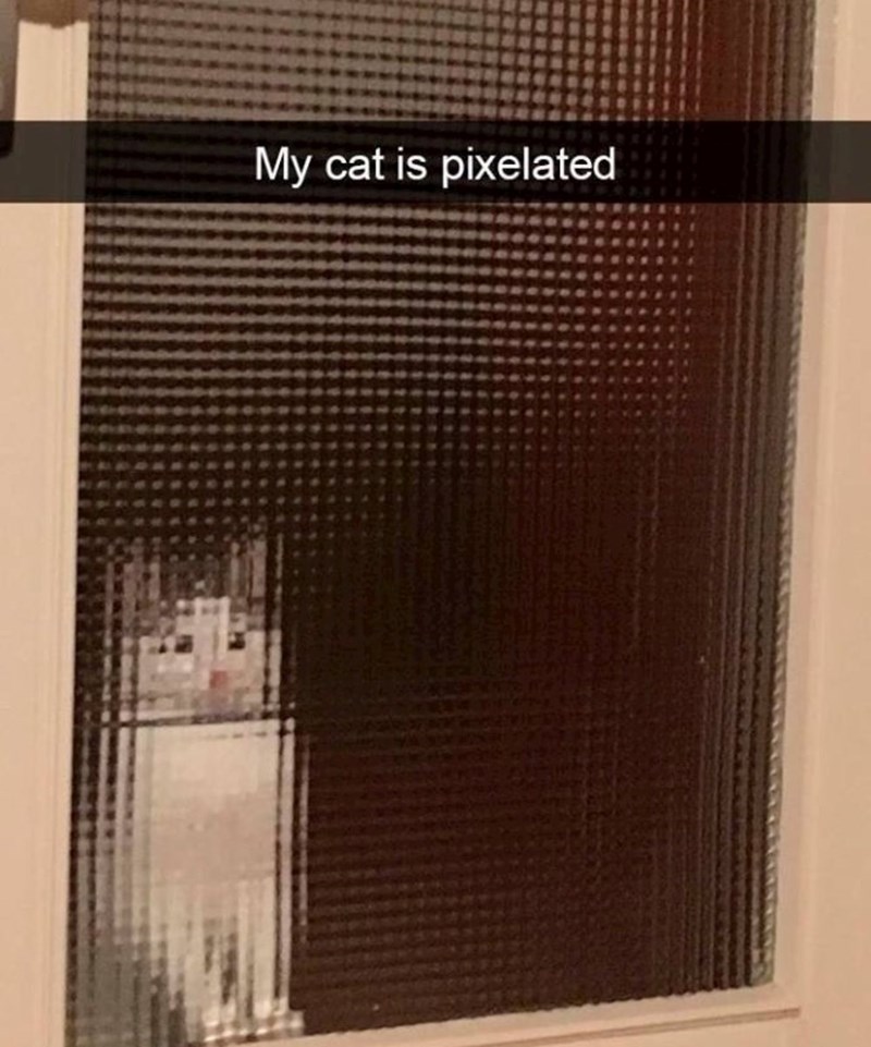 My cat is pixelated