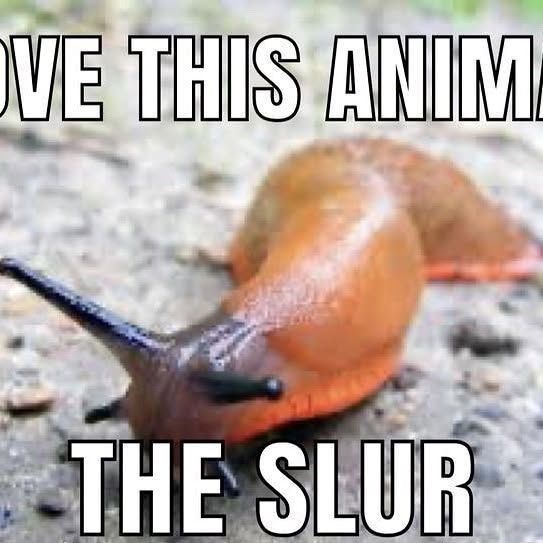 VE THIS ANIM THE SLUR