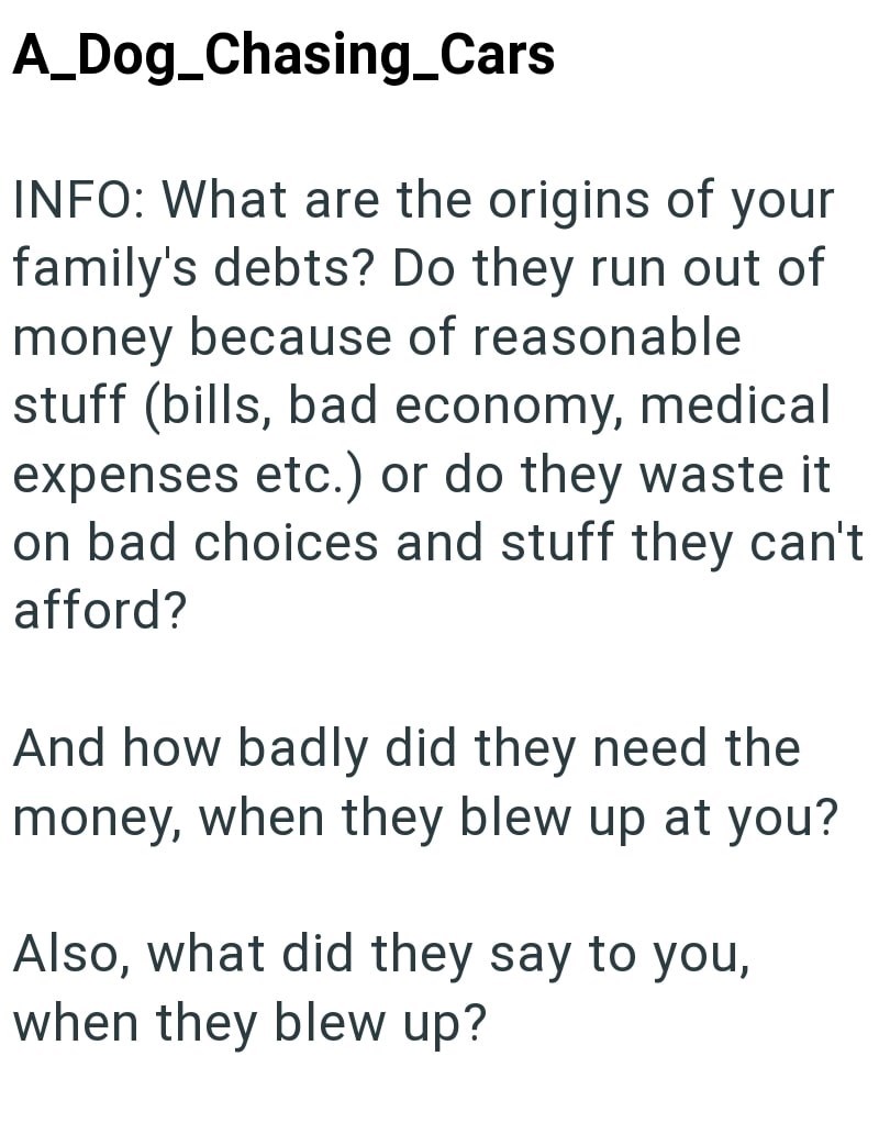A_Dog_Chasing_Cars INFO: What are the origins of your family's debts? Do they run out of money because of reasonable stuff (bills, bad economy, medical expenses etc.) or do they waste it on bad choices and stuff they can't afford? And how badly did they need the money, when they blew up at you? Also, what did they say to you, when they blew up?