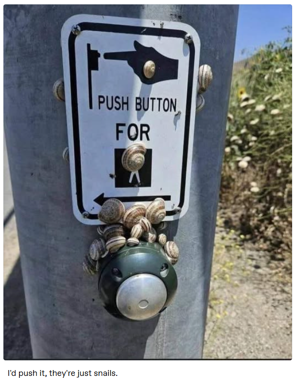 PUSH BUTTON FOR I'd push it, they're just snails.