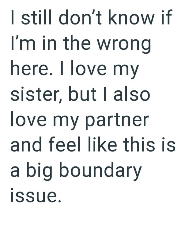 I still don't know if I'm in the wrong here. I love my sister, but I also love my partner and feel like this is a big boundary issue.