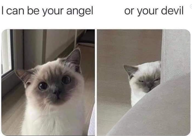 I can be your angel or your devil