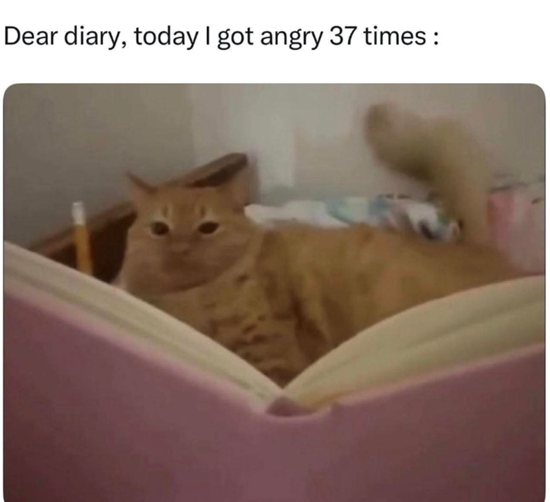 Dear diary, today I got angry 37 times: