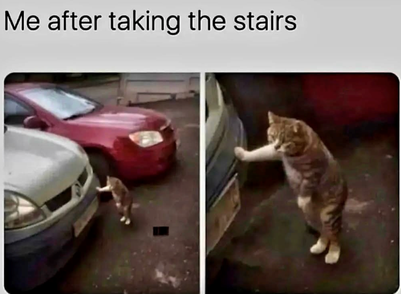 Me after taking the stairs