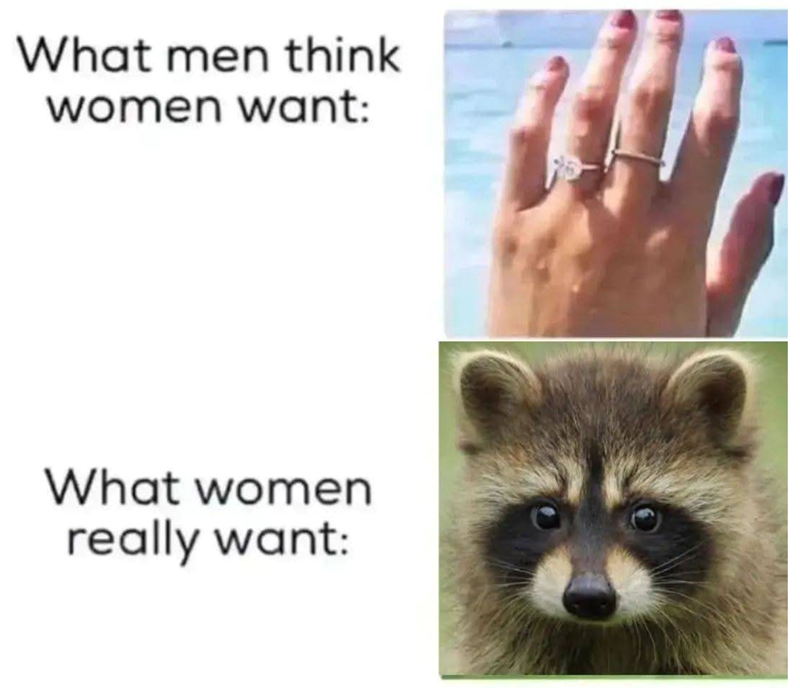 What men think women want: What women really want: