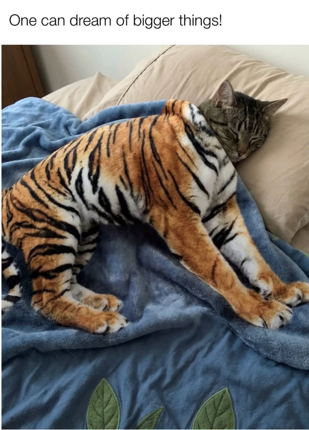 One can dream of bigger things!