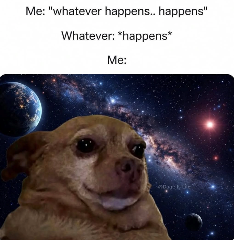 Me: "whatever happens.. happens" Whatever: *happens* Me: @Doge Is Life