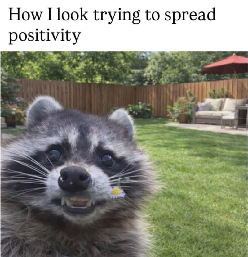 How I look trying to spread positivity