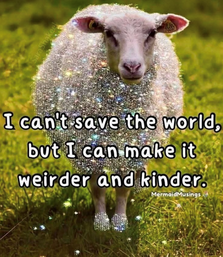 Sara Shakeel I can't save the world, but I can make it weirder and kinder. MermaidMusings