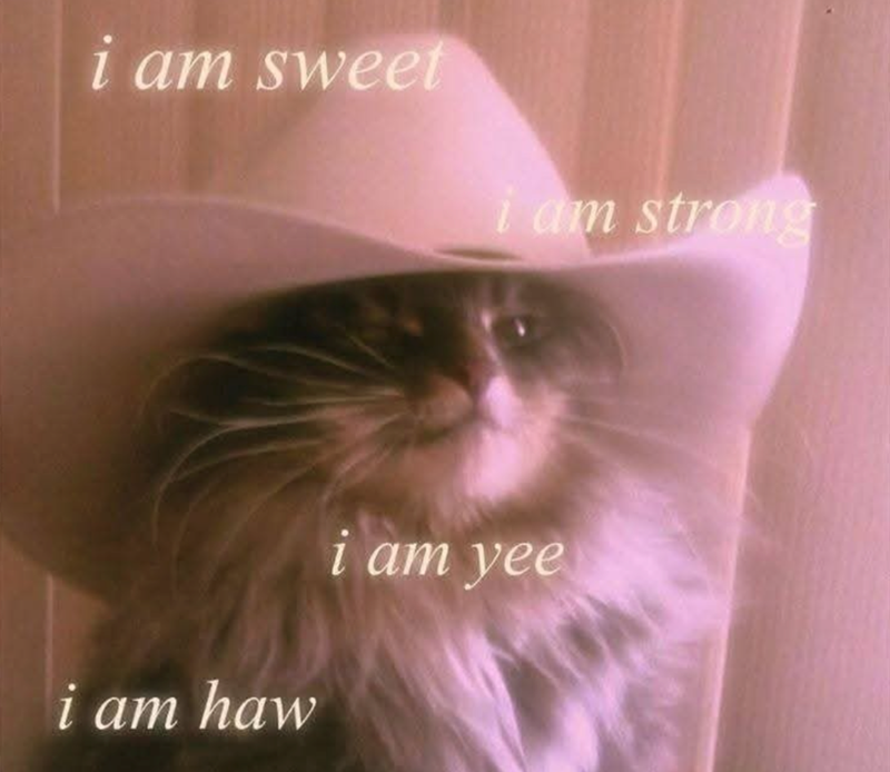 i am sweet i am strong i am haw i am yee