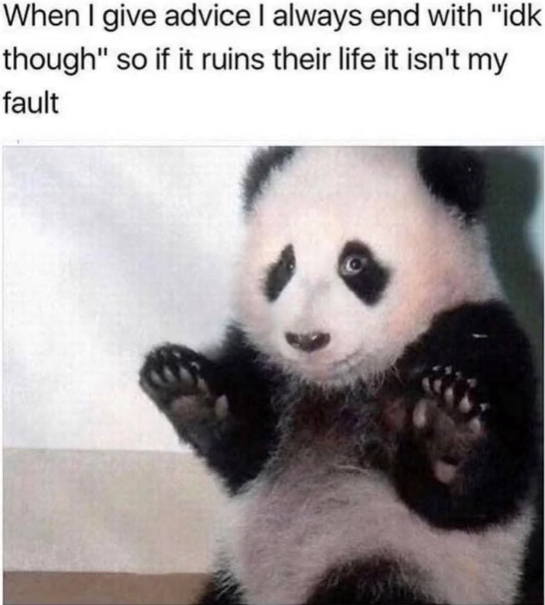 When I give advice I always end with "idk though" so if it ruins their life it isn't my fault