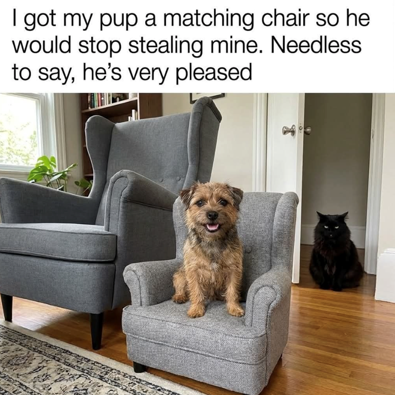 I got my pup a matching chair so he would stop stealing mine. Needless to say, he's very pleased.