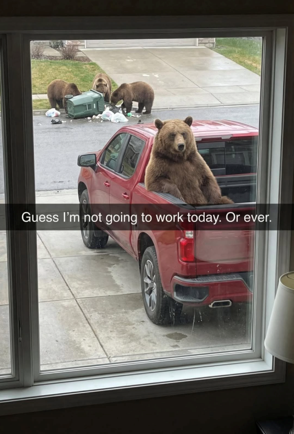 Guess I'm not going to work today. Or ever.