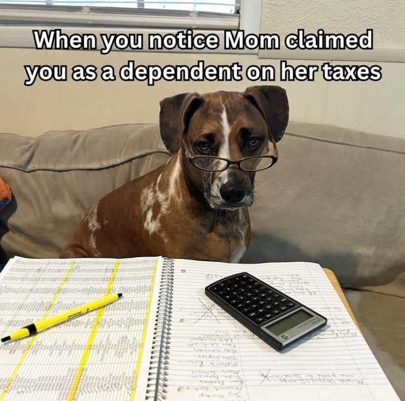 Michael Ne Jay Maray Meton Schools Kara who Dan Whi When you notice Mom claimed you as a dependent on her taxes