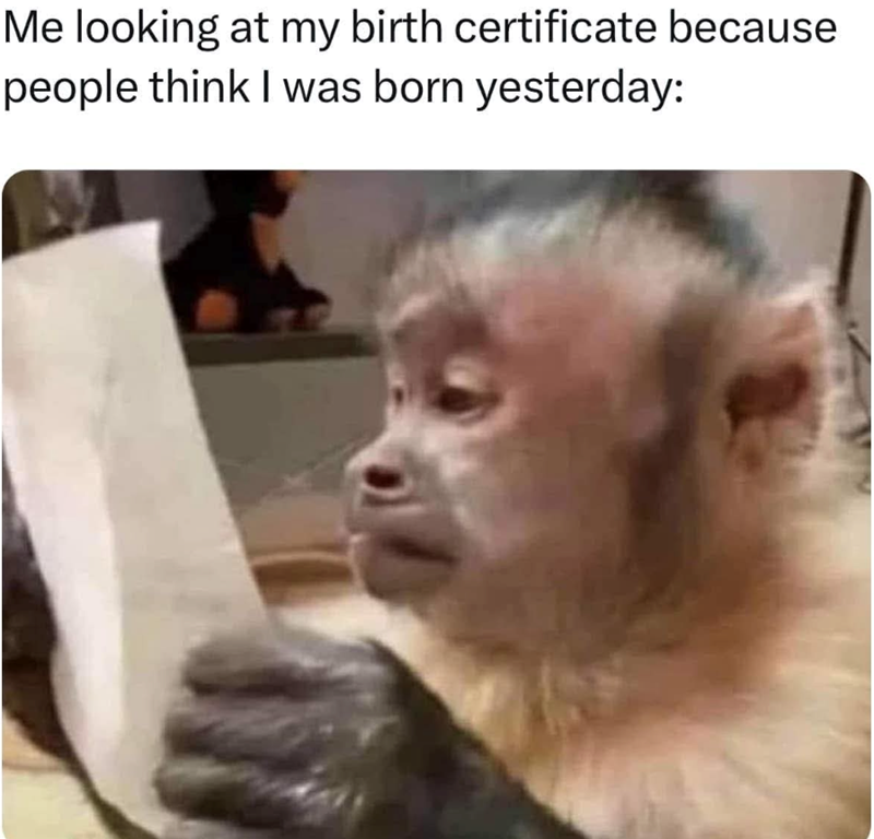 Me looking at my birth certificate because people think I was born yesterday: