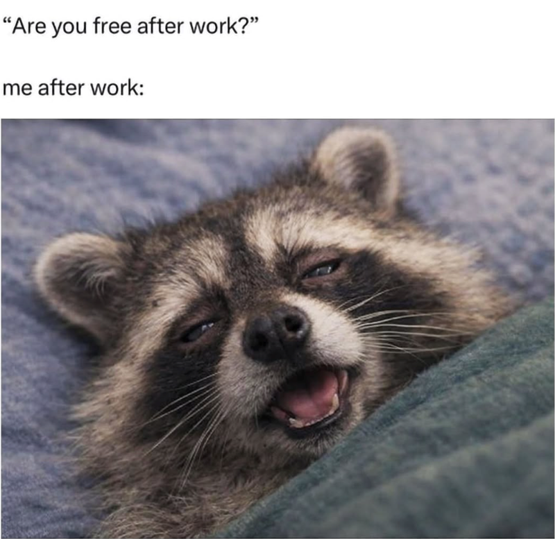 "Are you free after work?" me after work: