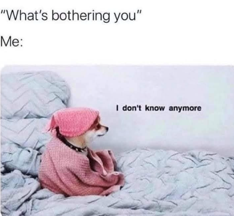 "What's bothering you" Me: I don't know anymore