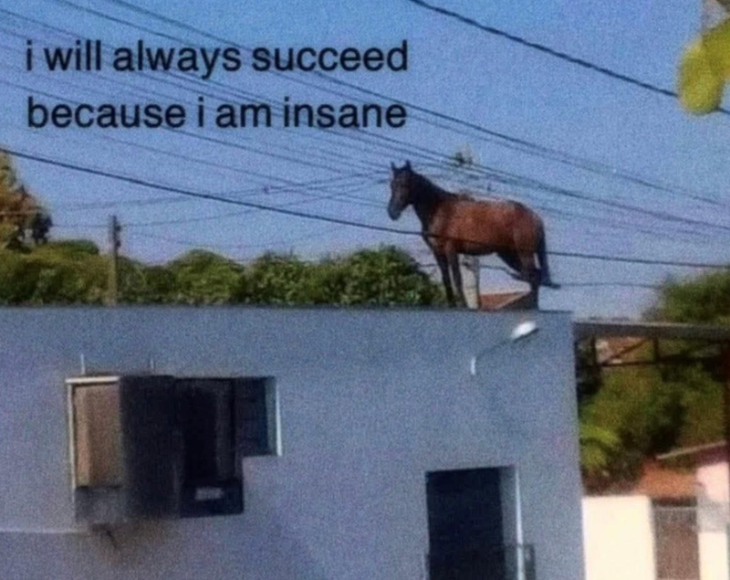 i will always succeed because i am insane