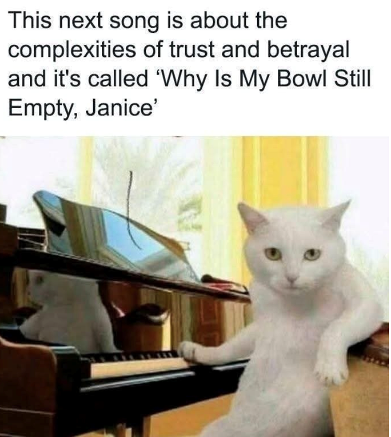 This next song is about the complexities of trust and betrayal and it's called 'Why Is My Bowl Still Empty, Janice'