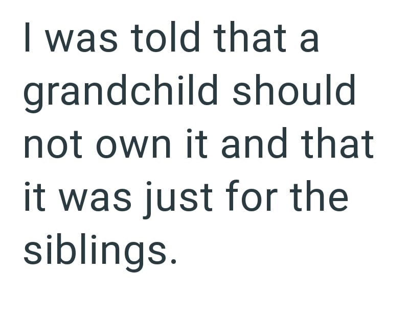 I was told that a grandchild should not own it and that it was just for the siblings.