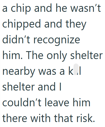 a chip and he wasn't chipped and they didn't recognize him. The only shelter nearby was a kl shelter and I couldn't leave him there with that risk.
