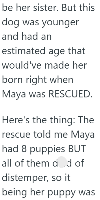 be her sister. But this dog was younger and had an estimated age that would've made her born right when Maya was RESCUED. Here's the thing: The rescue told me Maya had 8 puppies BUT all of them d d of distemper, so it being her puppy was