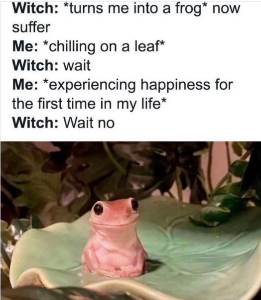 Witch: *turns me into a frog* now suffer Me: *chilling on a leaf* Witch: wait Me: *experiencing happiness for the first time in my life* Witch: Wait no