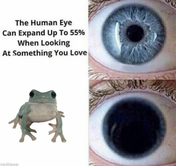 The Human Eye Can Expand Up To 55% When Looking At Something You Love @ollipop