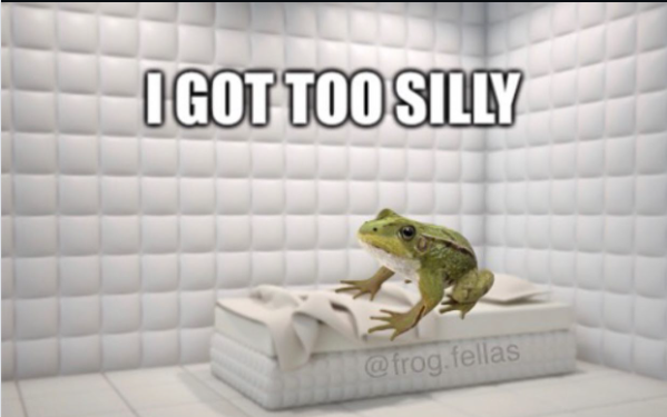I GOT TOO SILLY @frog.fellas