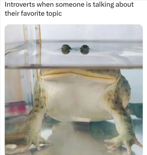 Introverts when someone is talking about their favorite topic