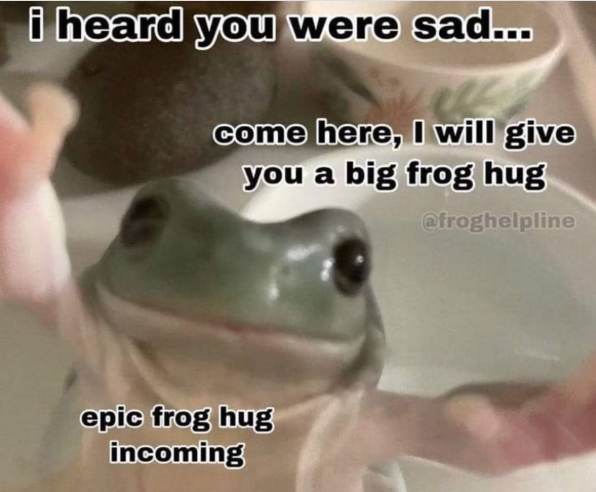 i heard you were sad... come here, I will give you a big frog hug @froghelpline epic frog hug incoming