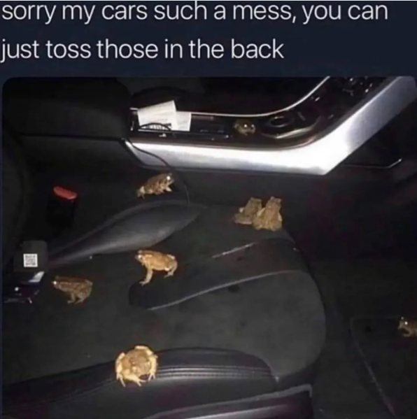 sorry my cars such a mess, you can just toss those in the back