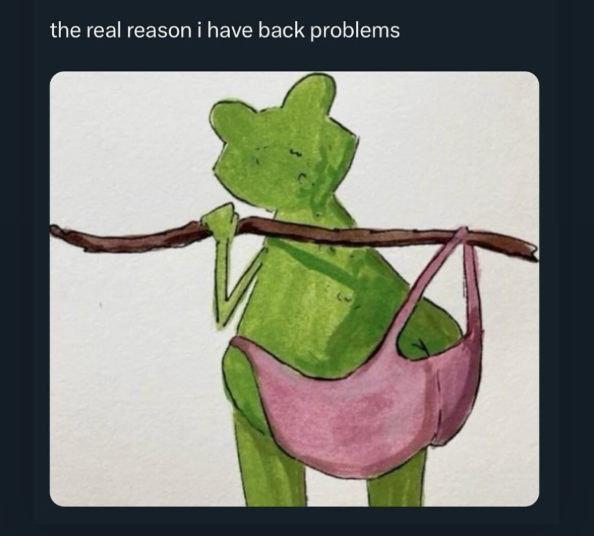 the real reason i have back problems