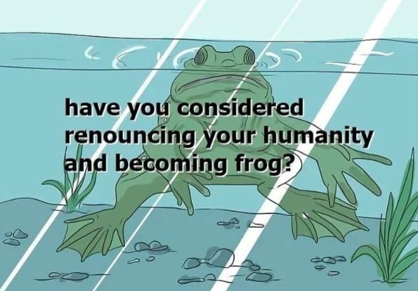 have you considered renouncing your humanity and becoming frog? 40