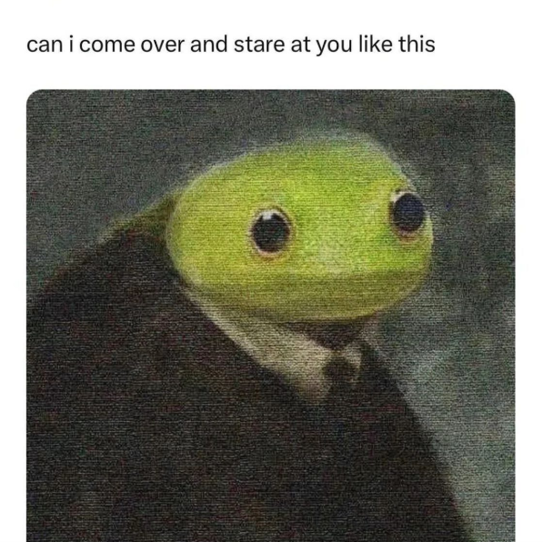 can i come over and stare at you like this