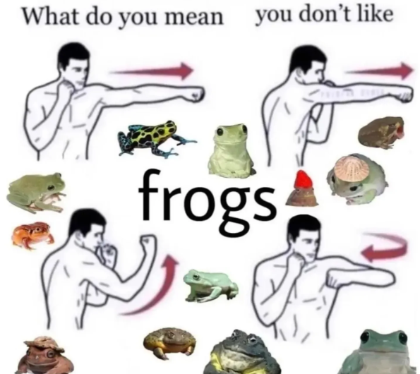 What do you mean you don't like frogs