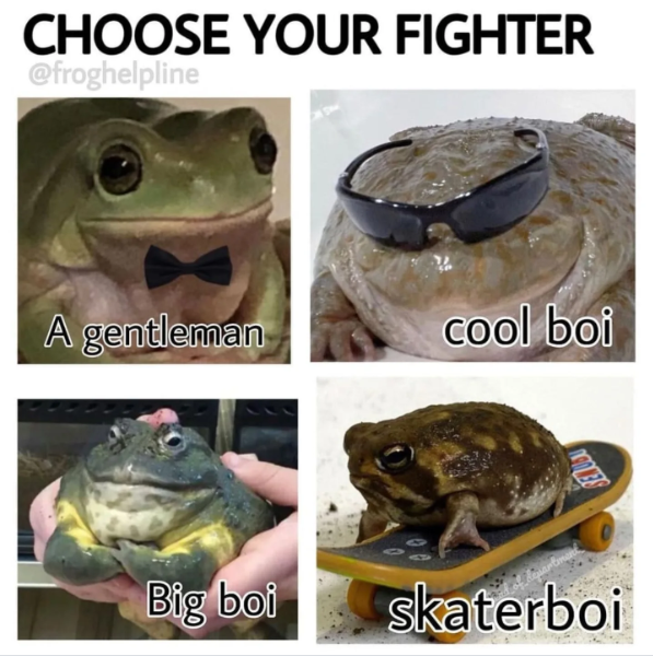 CHOOSE YOUR FIGHTER @froghelpline A gentleman cool boi Big boi skaterboi