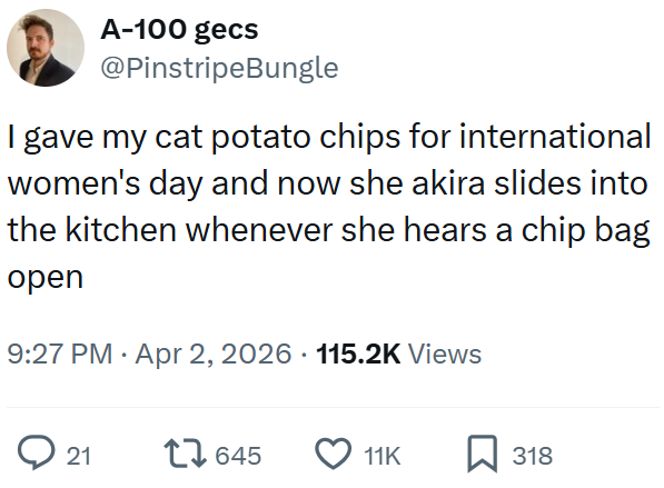 A-100 gecs @PinstripeBungle I gave my cat potato chips for international women's day and now she akira slides into the kitchen whenever she hears a chip bag open 9:27 PM Apr 2, 2026 115.2K Views 21 17645 11K ☐ 318