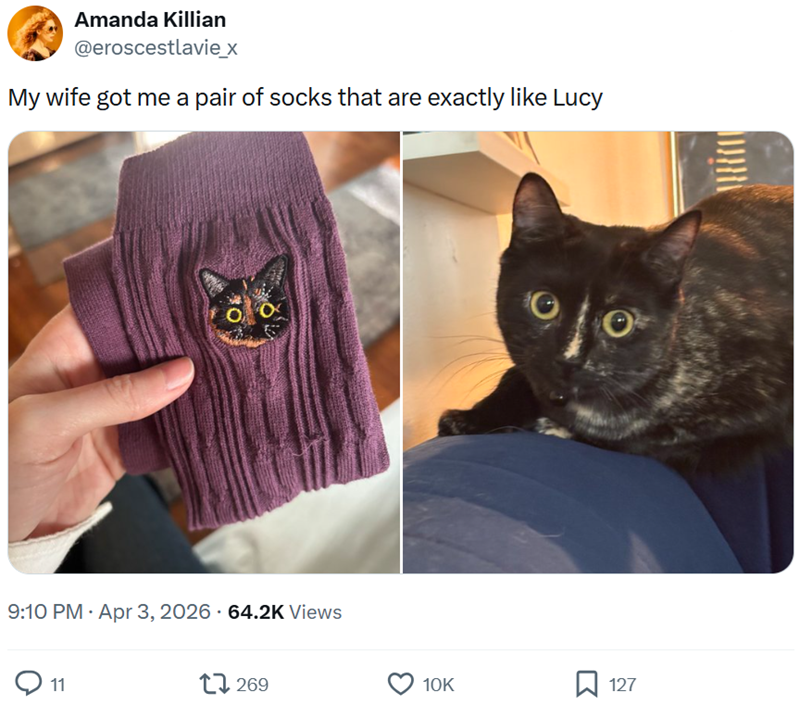 Amanda Killian @eroscestlavie_x My wife got me a pair of socks that are exactly like Lucy 9:10 PM - Apr 3, 2026 64.2K Views 11 17269 10K ☐ 127