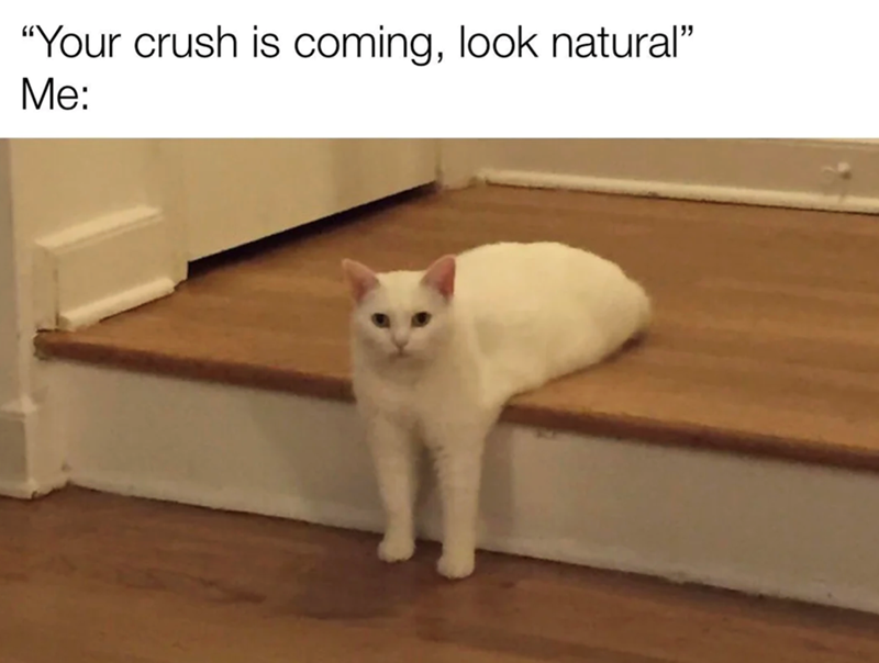 "Your crush is coming, look natural" Me:
