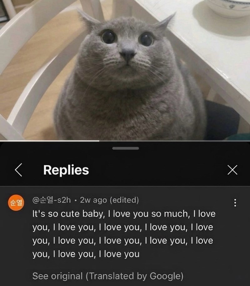 순열 Replies @-s2h 2w ago (edited) It's so cute baby, I love you so much, I love you, I love you, I love you, I love you, I love you, I love you, I love you, I love you, I love you, I love you, I love you See original (Translated by Google) Х