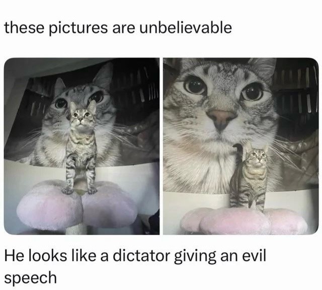 these pictures are unbelievable He looks like a dictator giving an evil speech