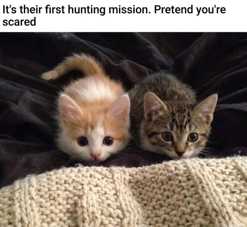 It's their first hunting mission. Pretend you're scared