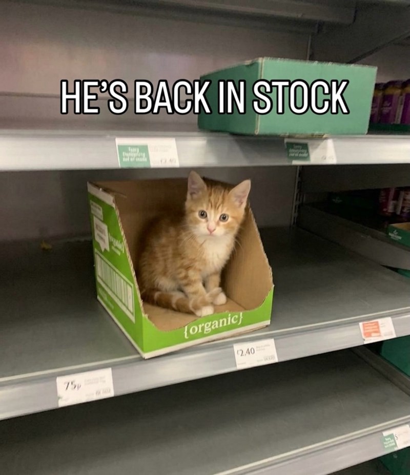 HE'S BACK IN STOCK dol of le 13.40 75p (organic) (2.40