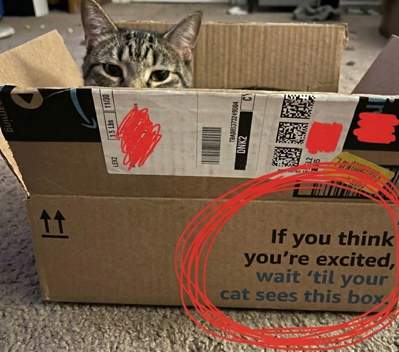 naming tt LEX2 1.5 Lbs 11/30 ง TBA885373249004 DNK2 If you think you're excited, wait 'til your cat sees this box.