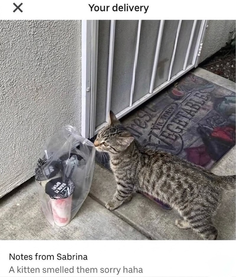 Your delivery 14310 resi VICTORY EGETABLES Notes from Sabrina A kitten smelled them sorry haha