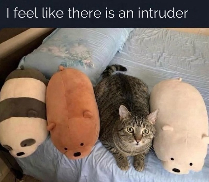 I feel like there is an intruder