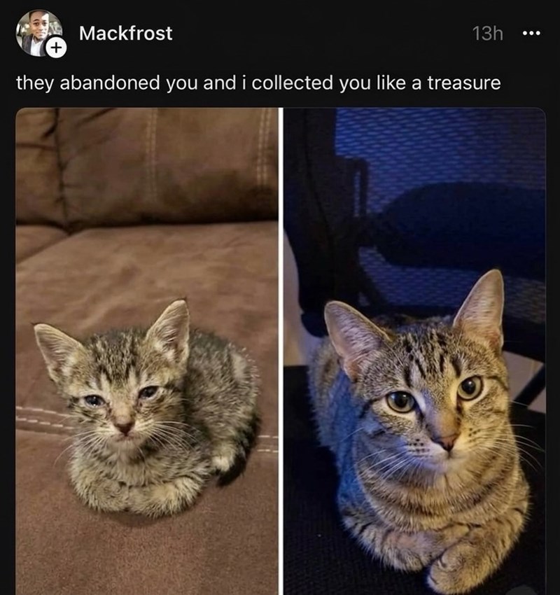 Mackfrost + 13h they abandoned you and i collected you like a treasure