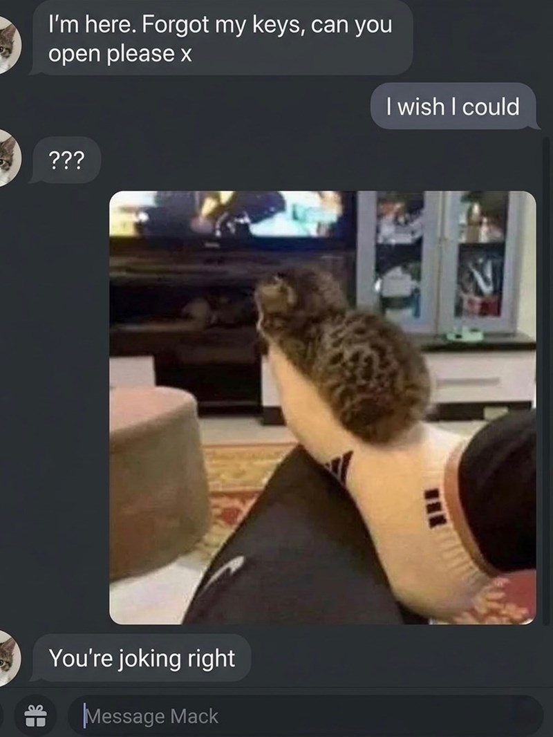 I'm here. Forgot my keys, can you open please x ??? You're joking right Message Mack I wish I could E