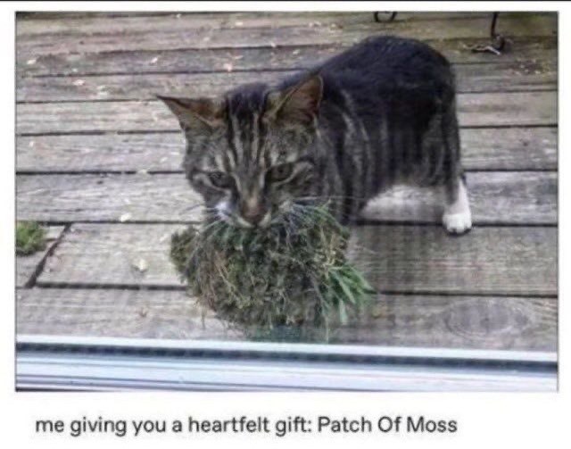 me giving you a heartfelt gift: Patch Of Moss